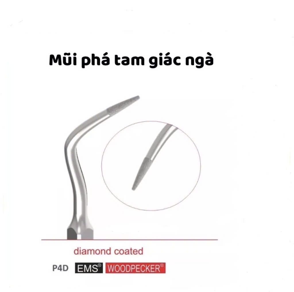 Mũi Phá Tam Giác Ngà P4D 
